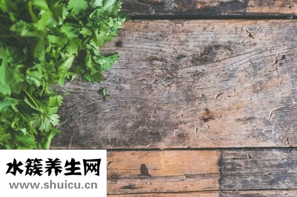 家里養什么魚好