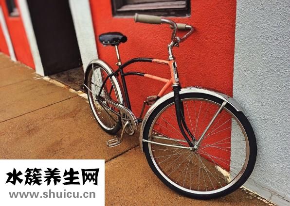 如何鍛煉腰部肌肉