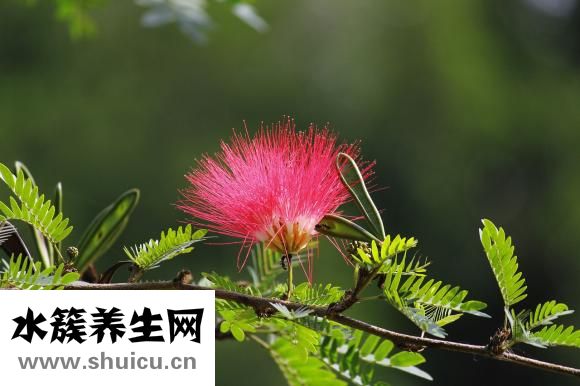 婦檢都檢查什么