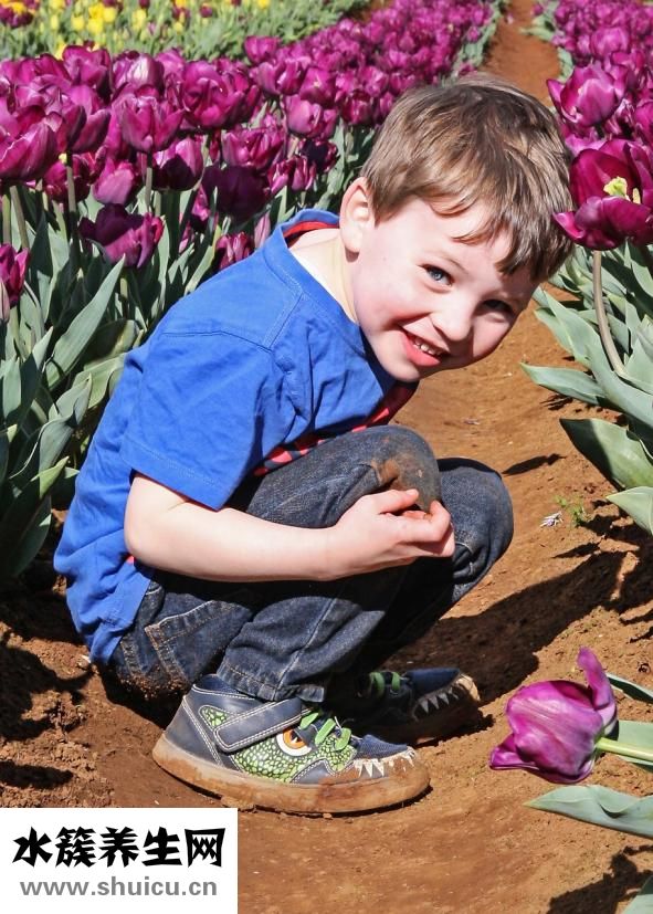 抽水馬桶堵了怎么辦