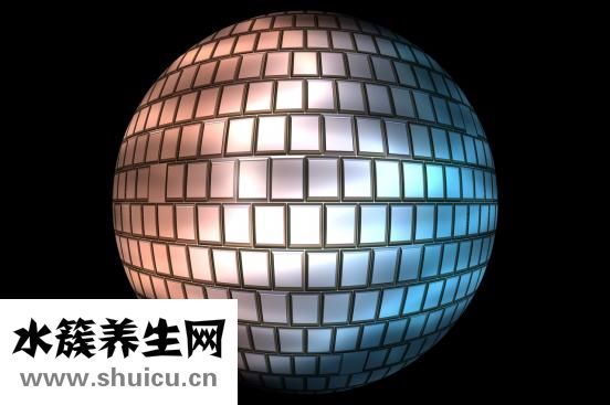 有什么好的創業項目