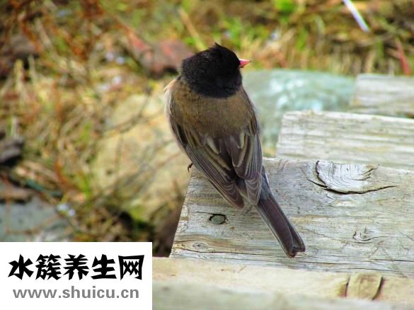 如何消除黑眼圈