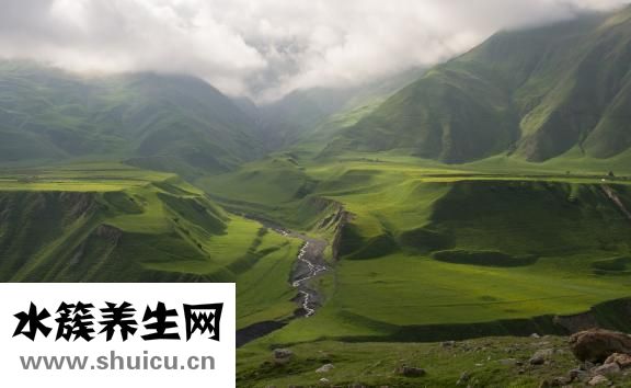 人死了會去哪里