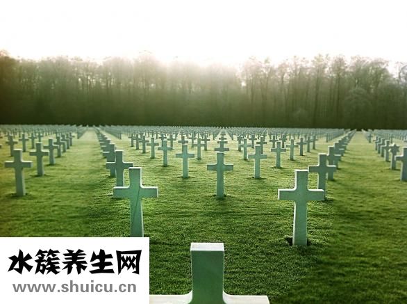 在家可以做什么賺錢