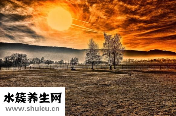 如何淡斑祛斑小妙招