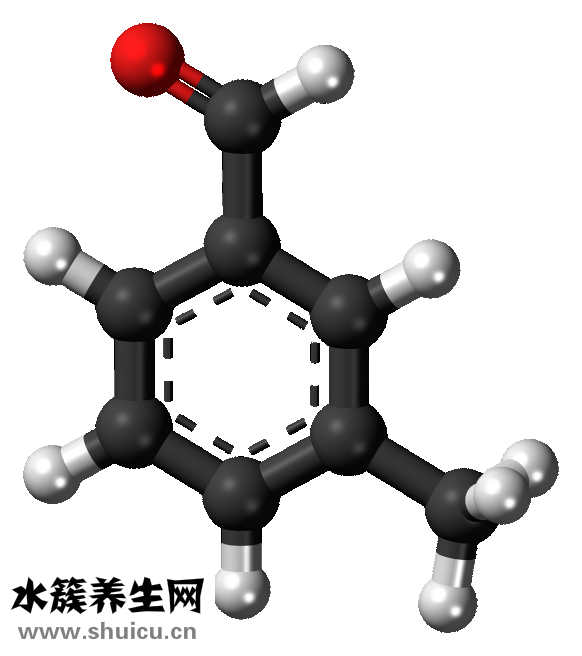 九層塔是什么菜