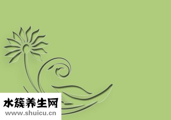 含義是什么意思