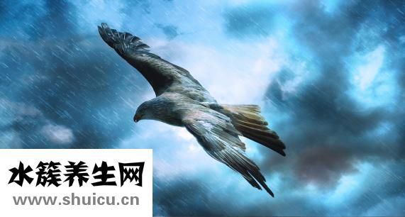 左眼皮跳是什么預(yù)兆