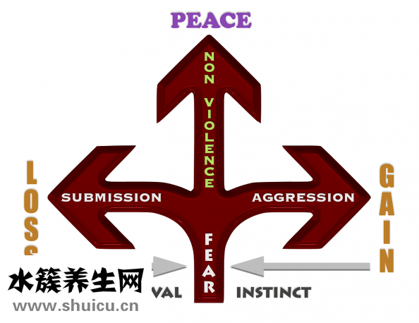 嬰兒長痱子怎么辦