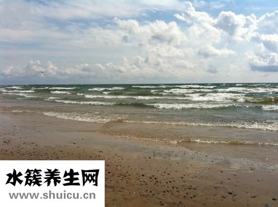 掉頭發(fā)是缺什么