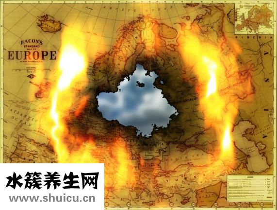 文竹葉子發黃怎么辦