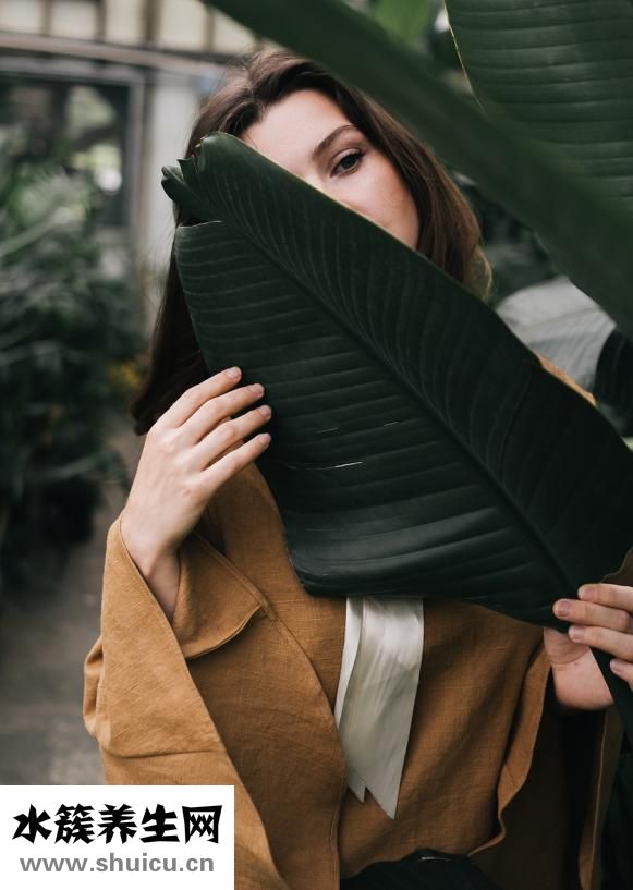 做人流后多久來月經