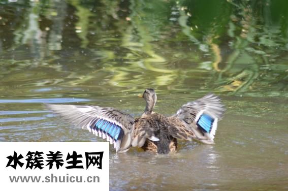 天空為什么是藍(lán)色的