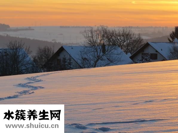 為什么會長白頭發