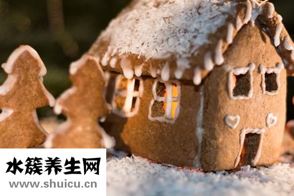 九層塔是什么菜