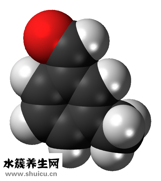 九層塔是什么菜
