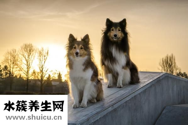 小孩拉肚子怎么辦