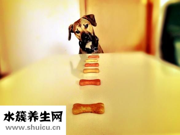 戾氣是什么意思