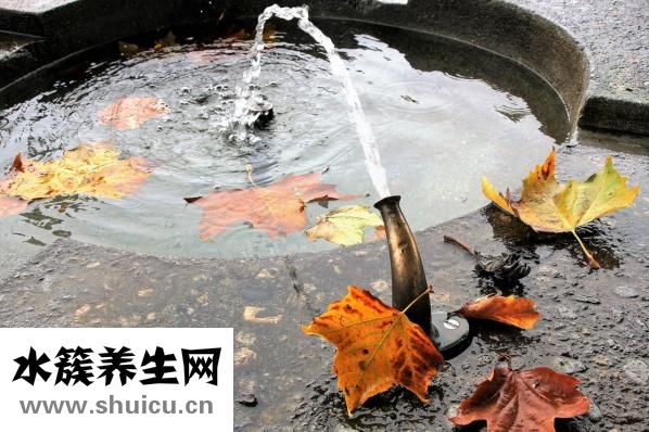 如何去除黑眼圈