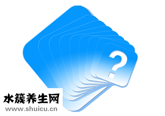 掛靠是什么意思