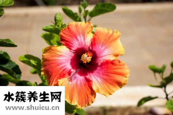 什么是績效工資