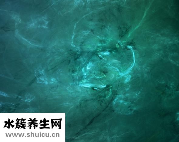 什么釣魚愿者上鉤