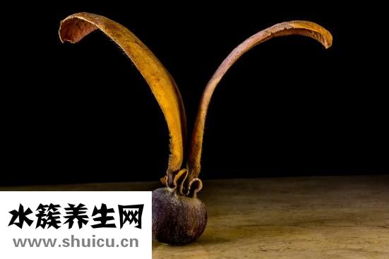 急性中耳炎怎么治療