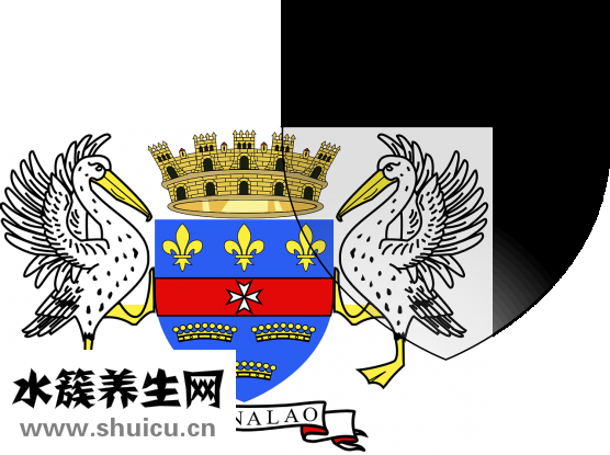 寶寶低燒怎么辦