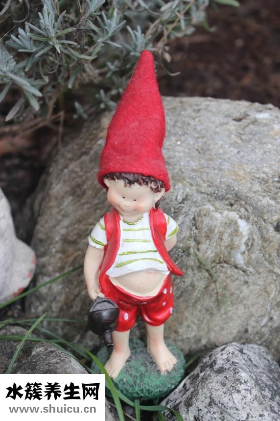 哺乳期不能吃什么