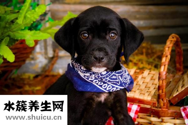 怎么讓鼻子變挺