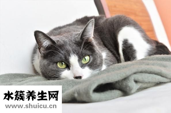 更年期癥狀有哪些