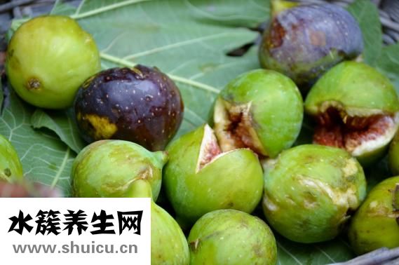 懷孕多久會惡心