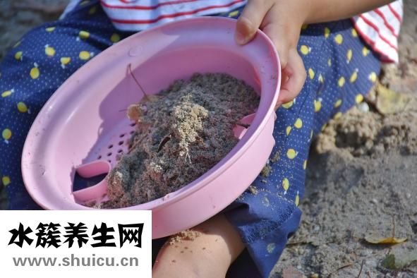 孩子不想上學怎么辦