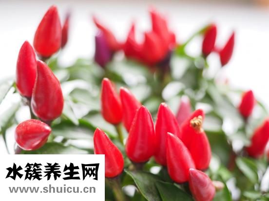 手被辣椒辣了怎么辦