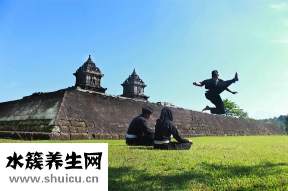 傳統文化有哪些