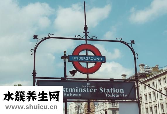 大腸桿菌是什么