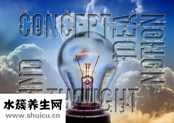 性格特點有哪些