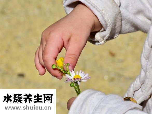 吃什么可以增肥