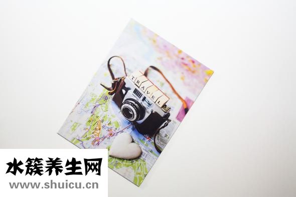 吃什么東西可以減肥