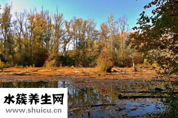 孩子不愛吃飯怎么辦