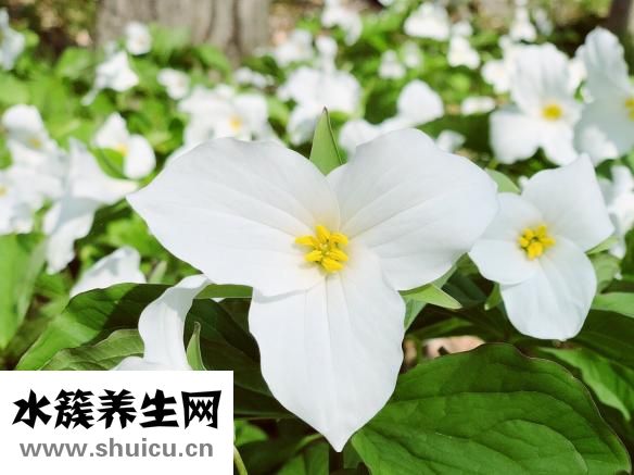 心情不好怎么辦