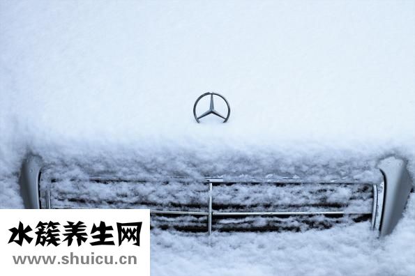 性格特點有哪些