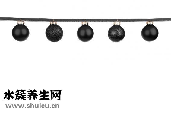 掛靠是什么意思