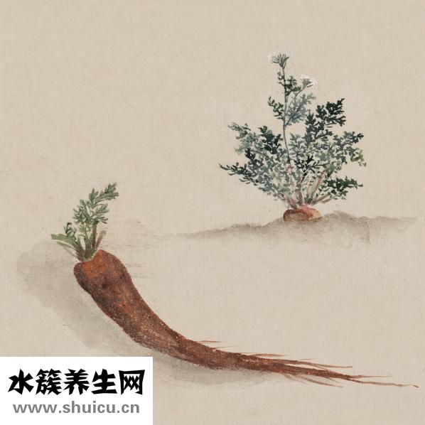 大便干燥怎么辦