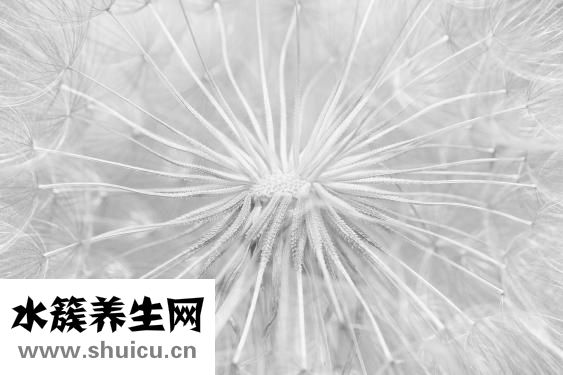 產后惡露多久干凈