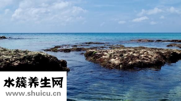 對不起英文怎么寫