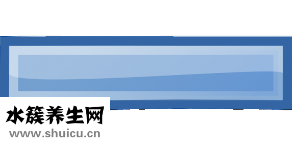 月經量少吃什么好