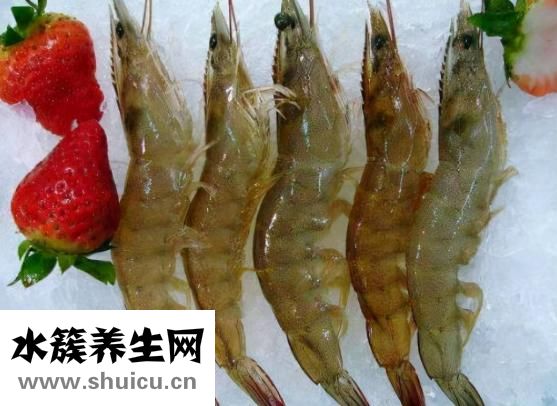 對蝦怎么做好吃