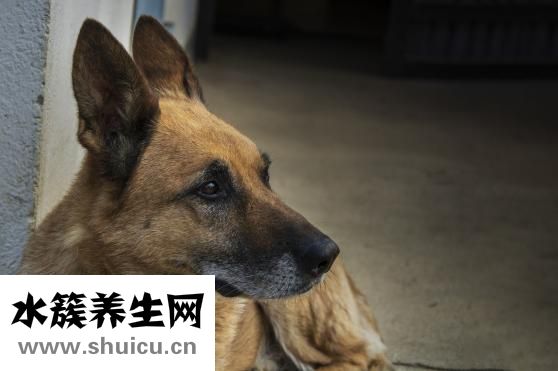 如何讓鼻梁變高