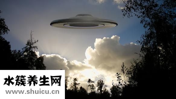 重陽節的風俗是什么